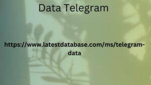 Data Telegram 2